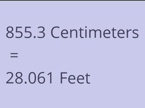 855.3 CM TO FEET