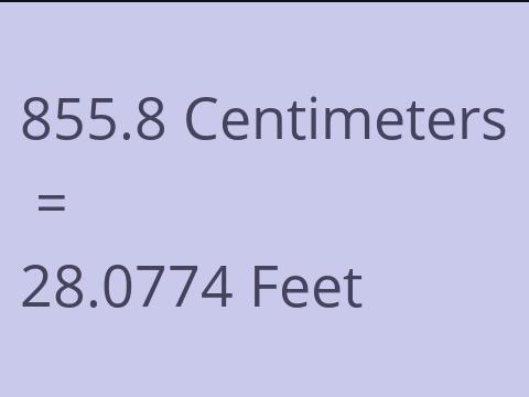 855.8 CM TO FEET