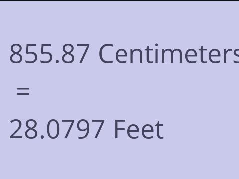 855.87 CM TO FEET