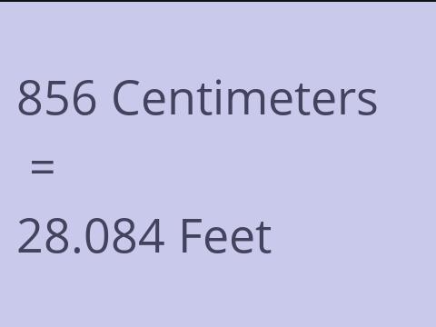 856 CM TO FEET