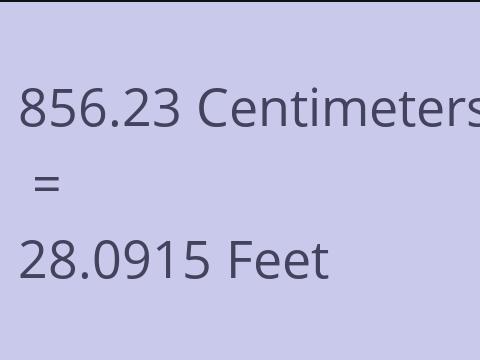 856.23 CM TO FEET