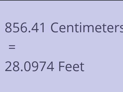 856.41 CM TO FEET