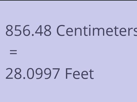 856.48 CM TO FEET