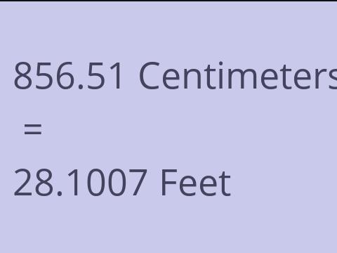 856.51 CM TO FEET