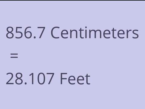 856.7 CM TO FEET