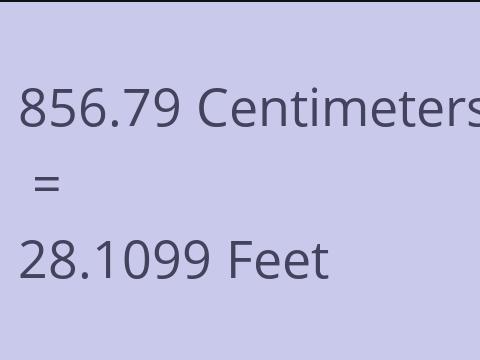 856.79 CM TO FEET