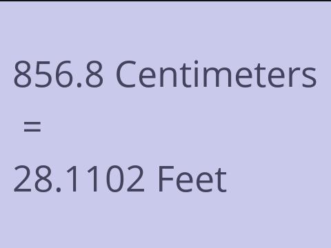 856.8 CM TO FEET