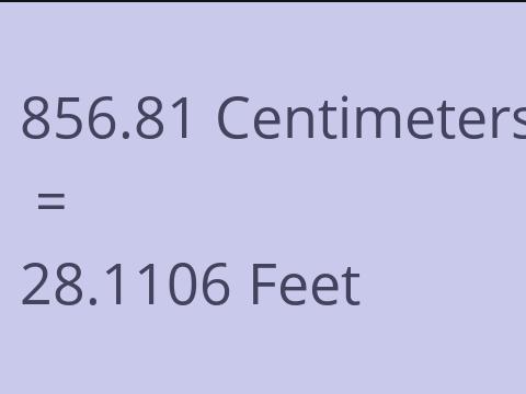 856.81 CM TO FEET