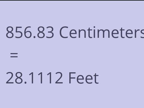 856.83 CM TO FEET