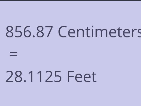 856.87 CM TO FEET