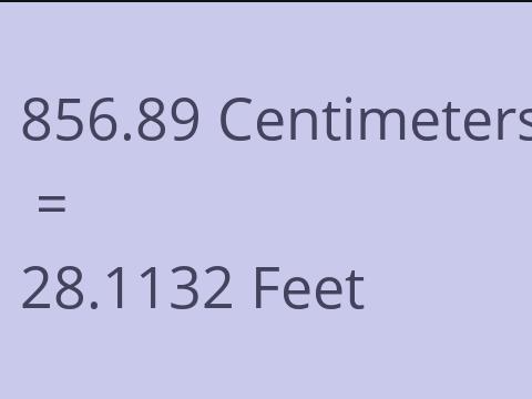 856.89 CM TO FEET