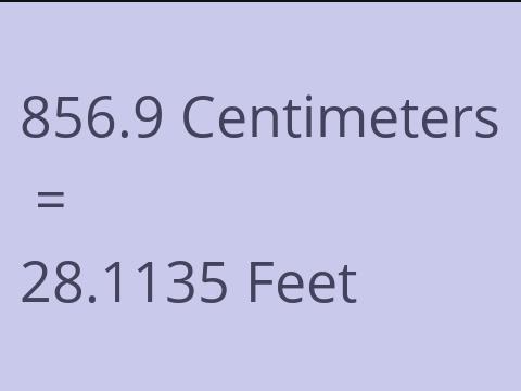 856.9 CM TO FEET