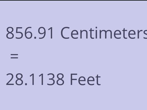 856.91 CM TO FEET