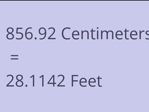 856.92 CM TO FEET