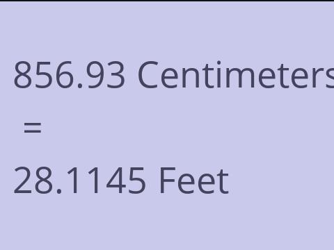 856.93 CM TO FEET