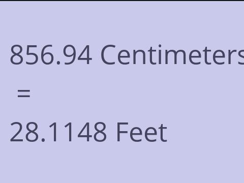 856.94 CM TO FEET