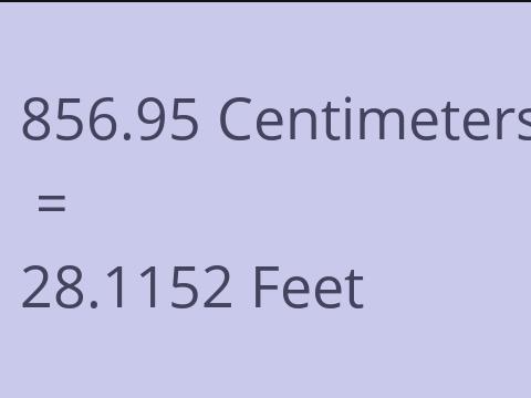 856.95 CM TO FEET