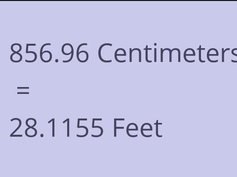 856.96 CM TO FEET