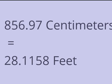 856.97 CM TO FEET