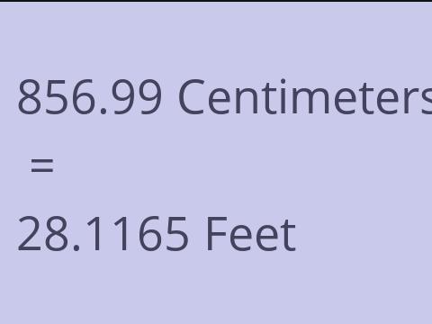 856.99 CM TO FEET