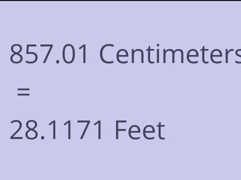 857.01 CM TO FEET