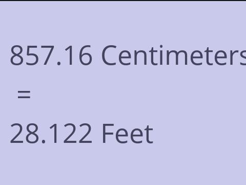 857.16 CM TO FEET