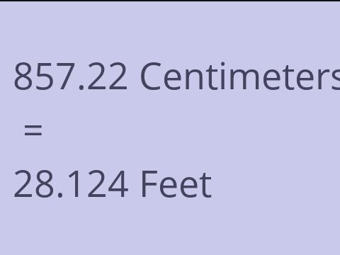 857.22 CM TO FEET