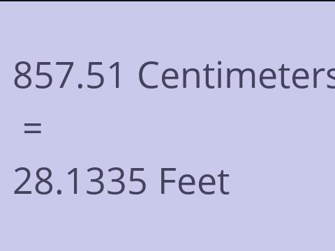 857.51 CM TO FEET