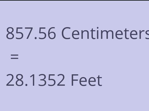 857.56 CM TO FEET