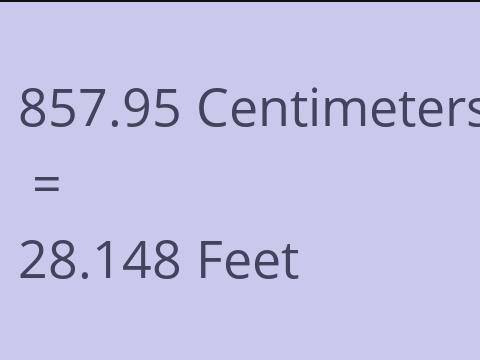 857.95 CM TO FEET