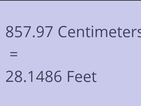 857.97 CM TO FEET