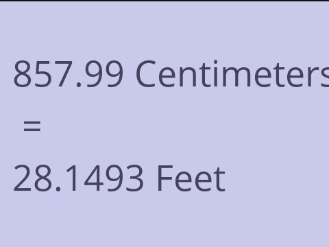 857.99 CM TO FEET