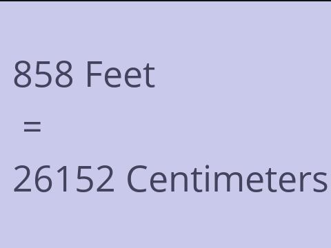 858 FEET TO CM