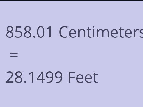 858.01 CM TO FEET