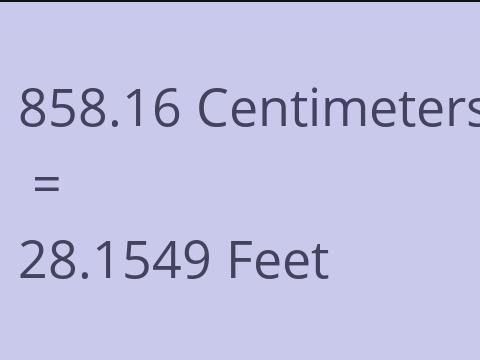 858.16 CM TO FEET