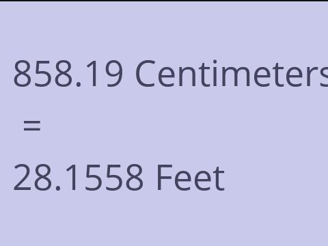 858.19 CM TO FEET