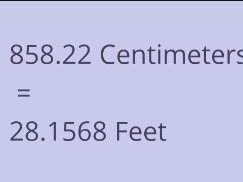 858.22 CM TO FEET