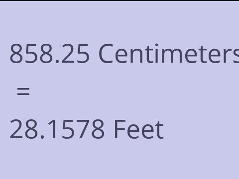 858.25 CM TO FEET