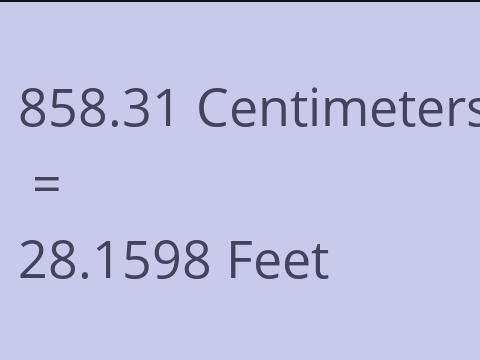 858.31 CM TO FEET