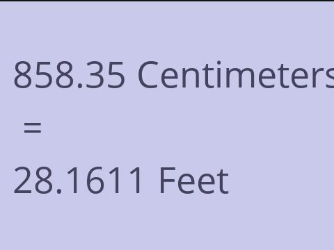 858.35 CM TO FEET