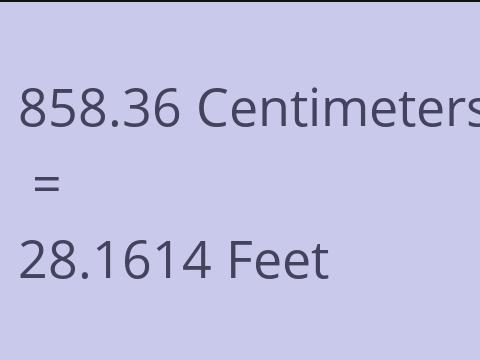 858.36 CM TO FEET