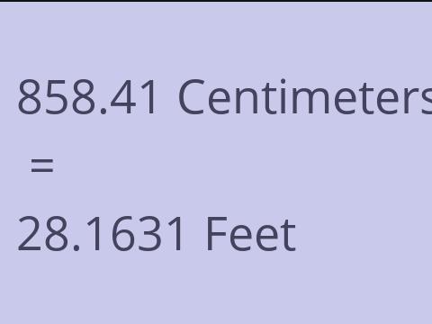 858.41 CM TO FEET