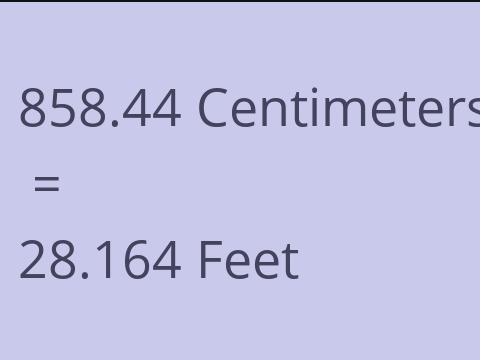 858.44 CM TO FEET