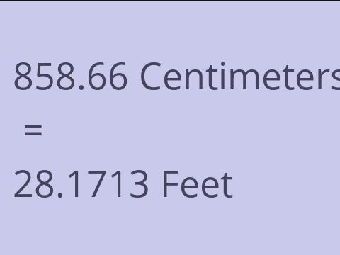 858.66 CM TO FEET