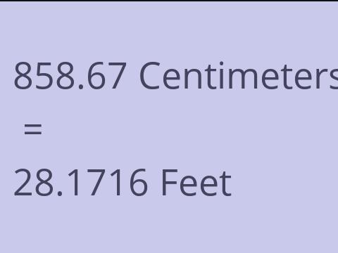 858.67 CM TO FEET