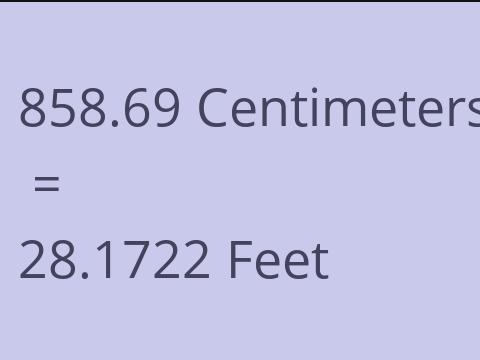 858.69 CM TO FEET