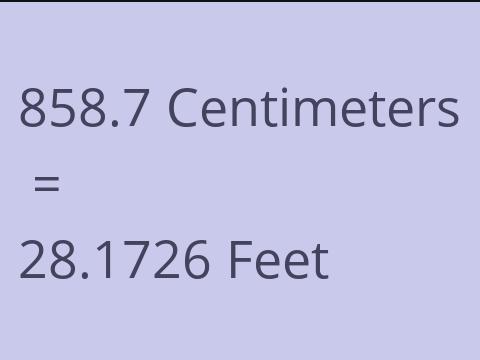 858.7 CM TO FEET