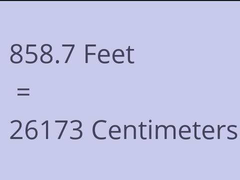 858.7 FEET TO CM