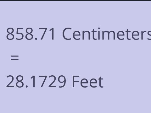 858.71 CM TO FEET