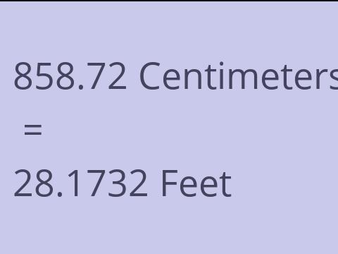 858.72 CM TO FEET